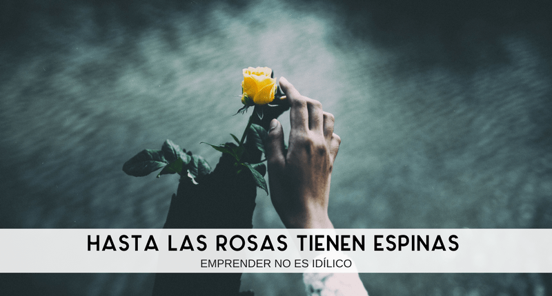 Hasta-las-rosas-tienen-espinas-emprender-no-es-idílico